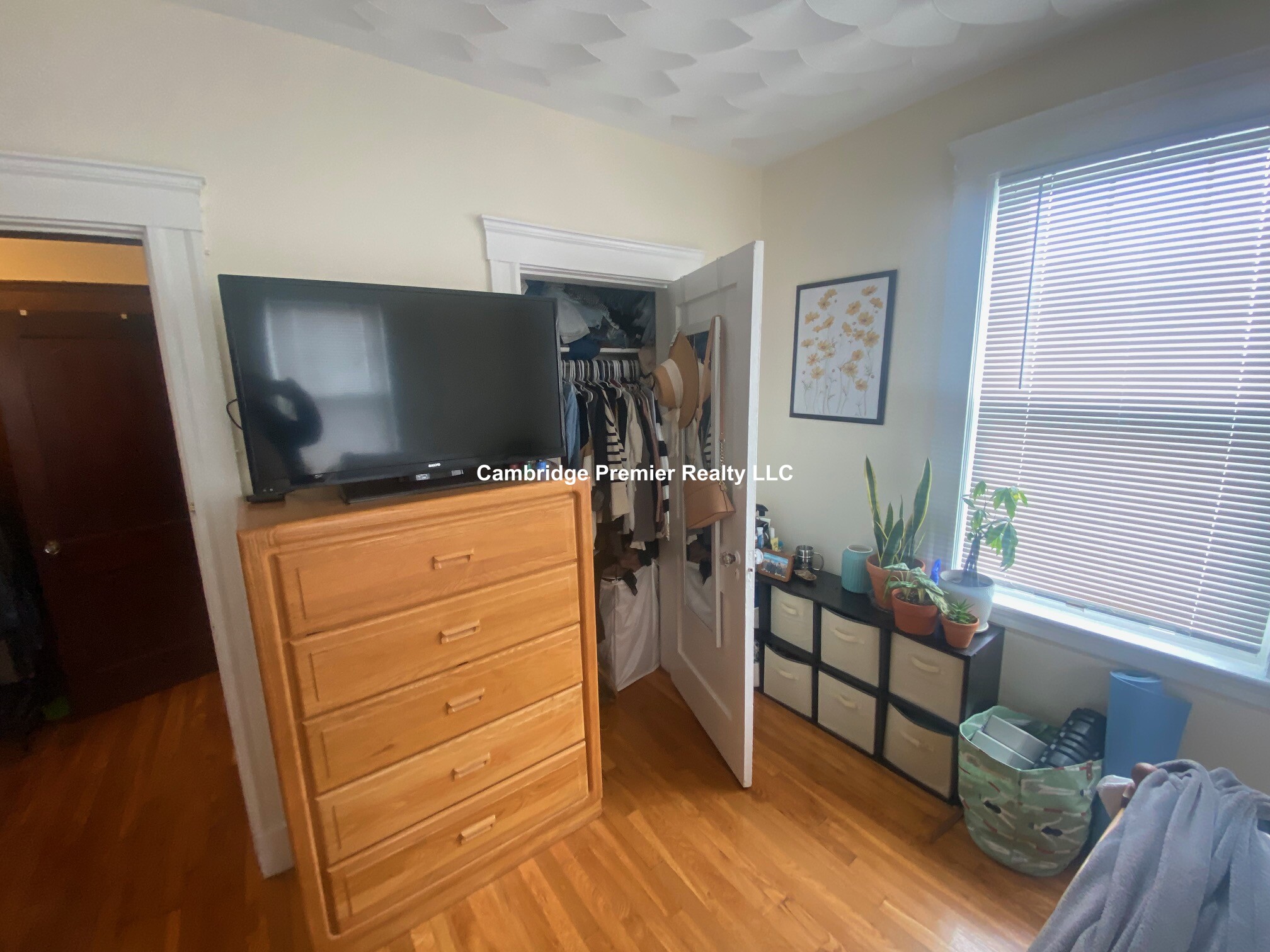 66 Craigie St, Spring Hill