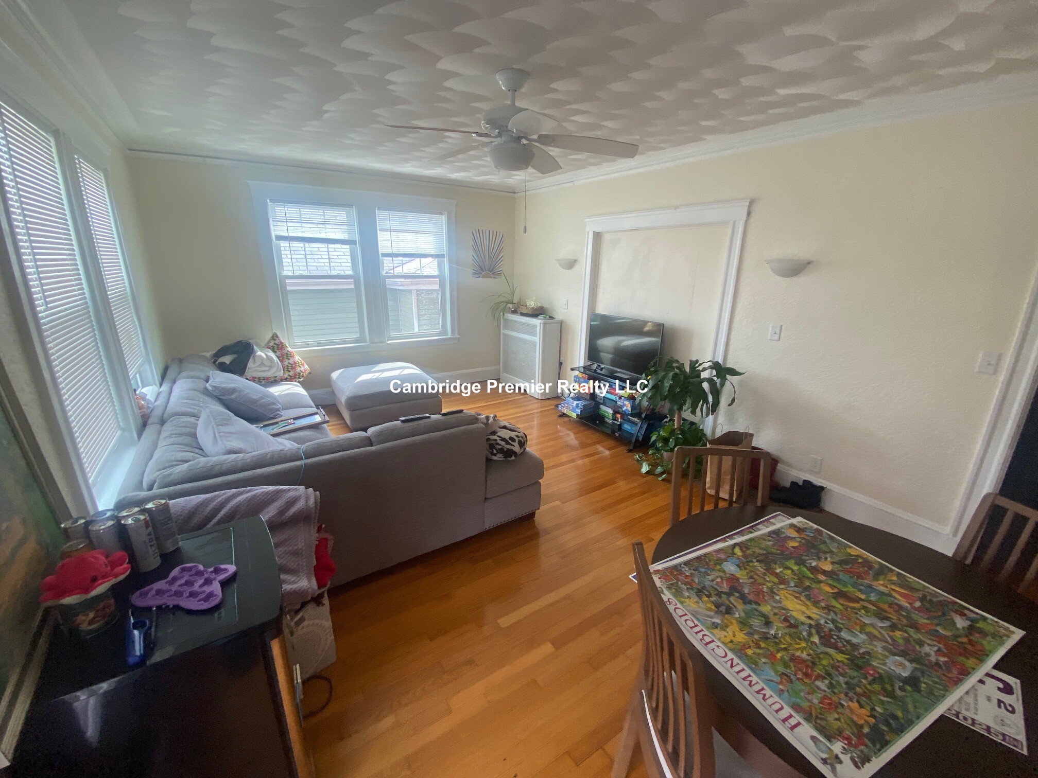 66 Craigie St, Spring Hill