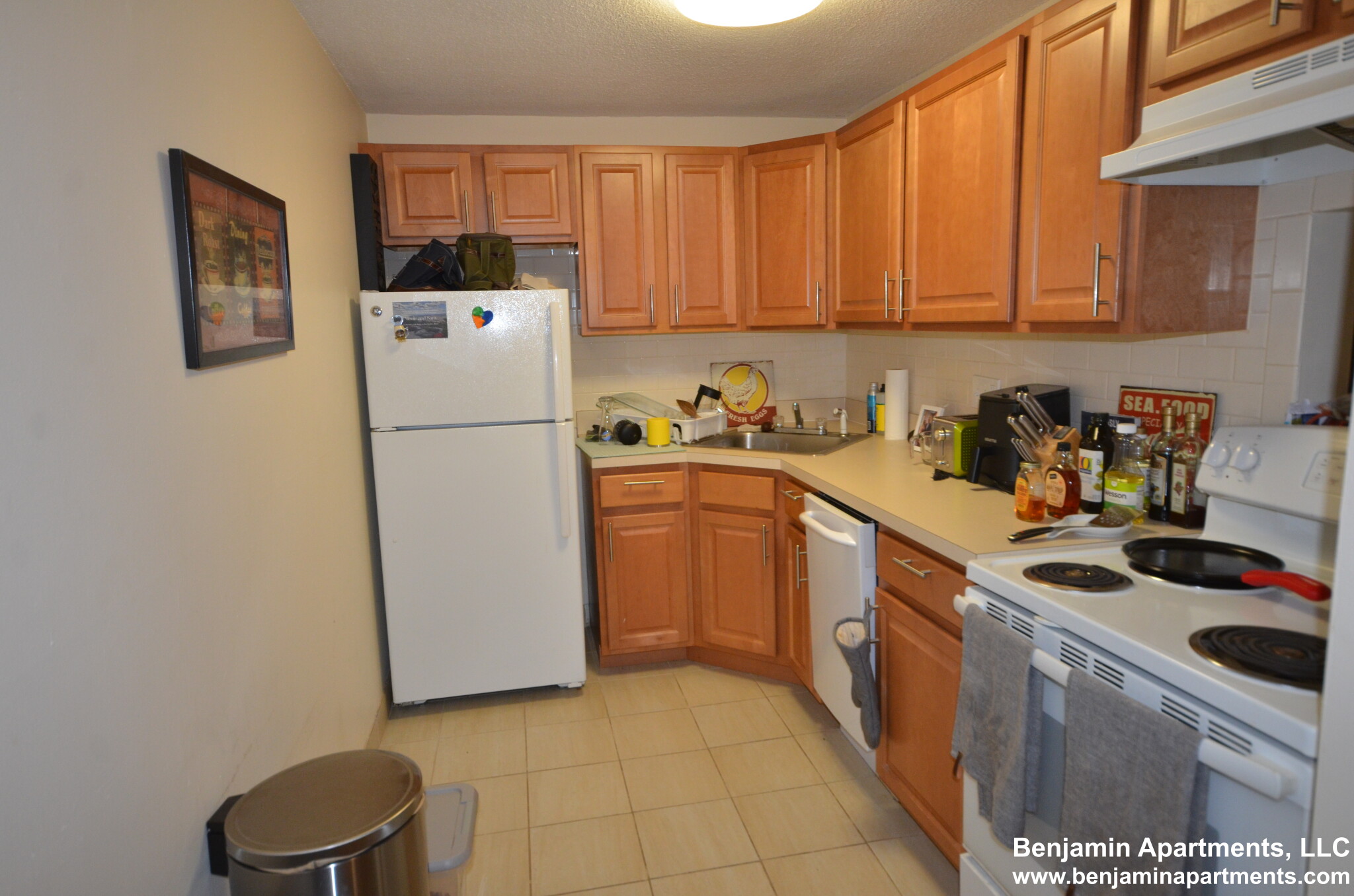 66 Homer Ave, West Cambridge