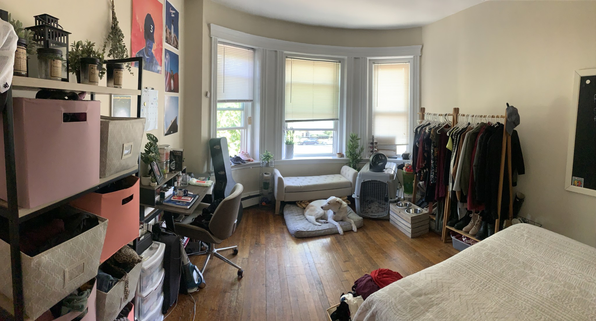 1325 Commonwealth Ave, Allston