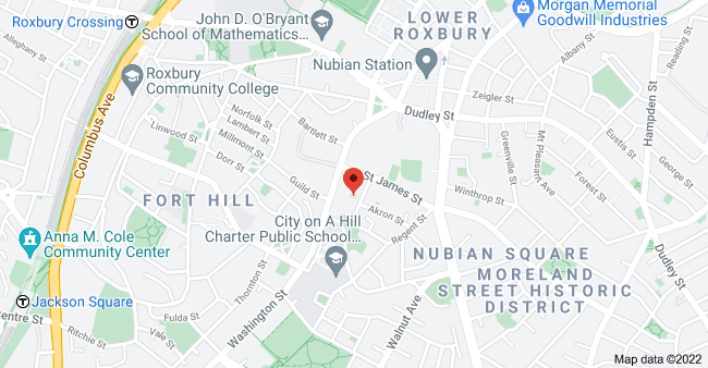 21 Alpine St, Roxbury