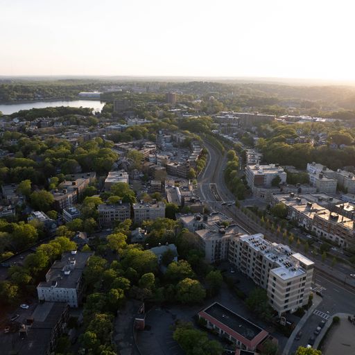 14 Mount Hood Rd, Brighton