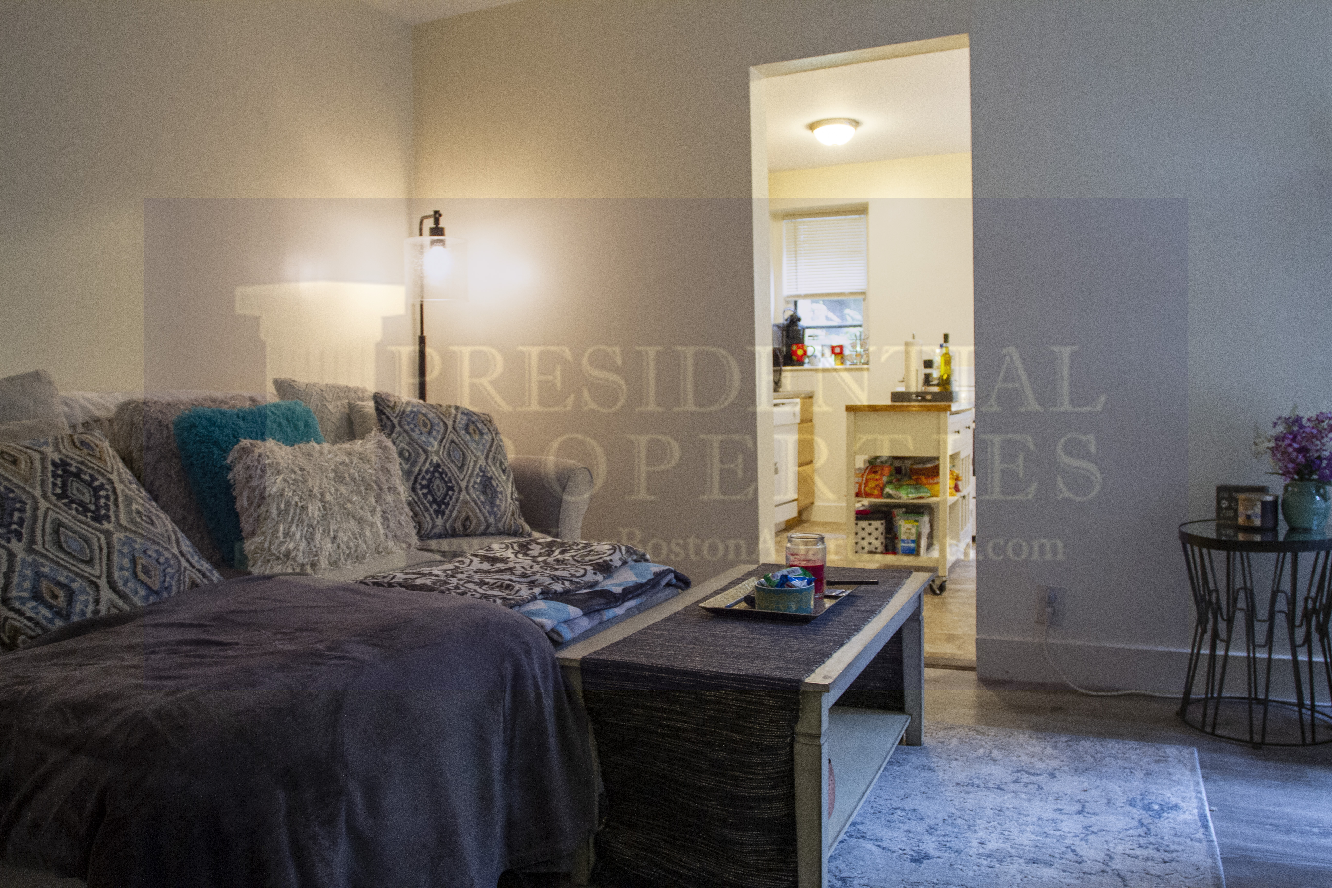 68 Myrtle St, Beacon Hill