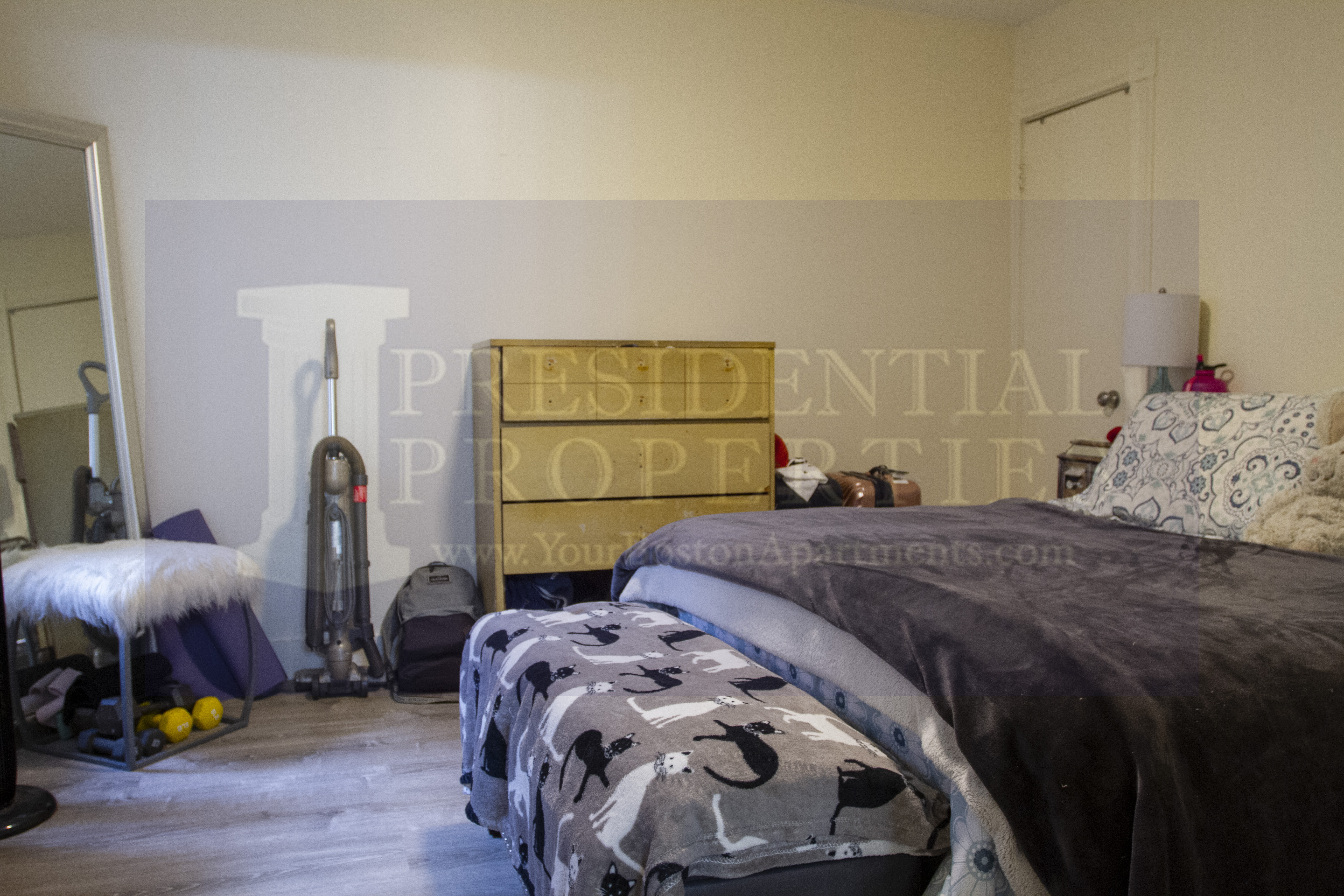 68 Myrtle St, Beacon Hill