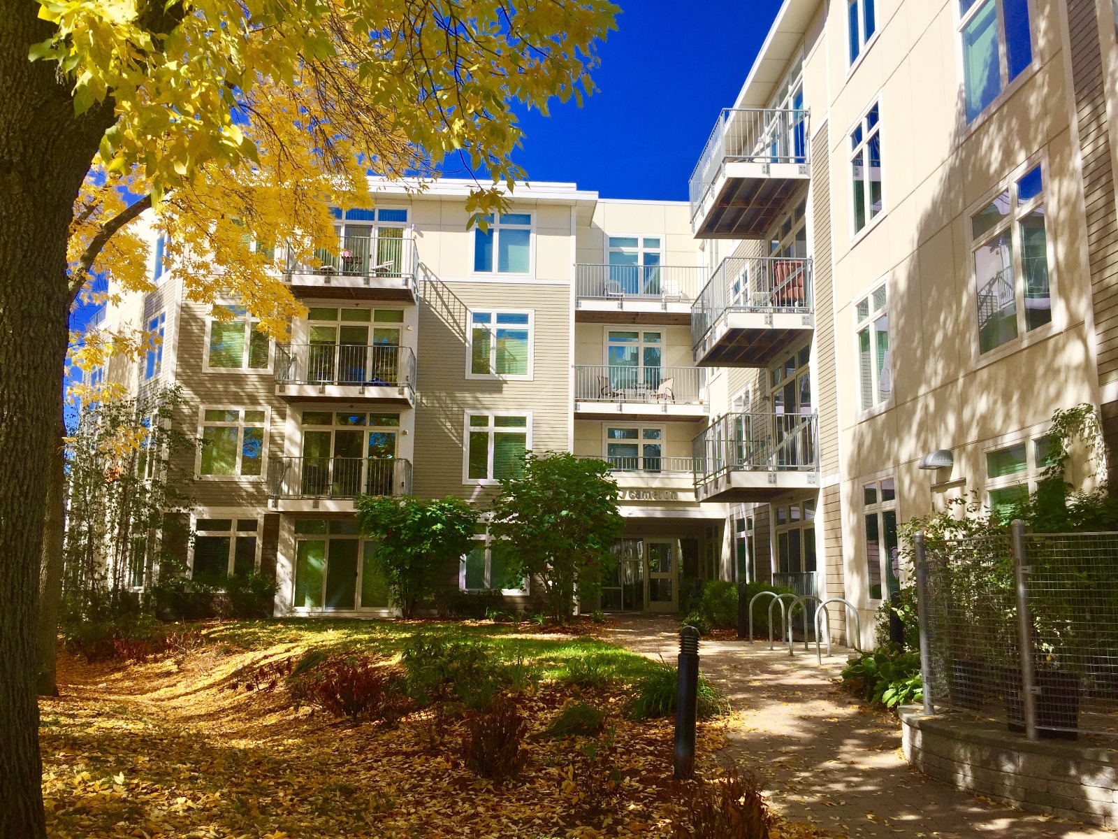 7 Cameron Ave, Mid Cambridge