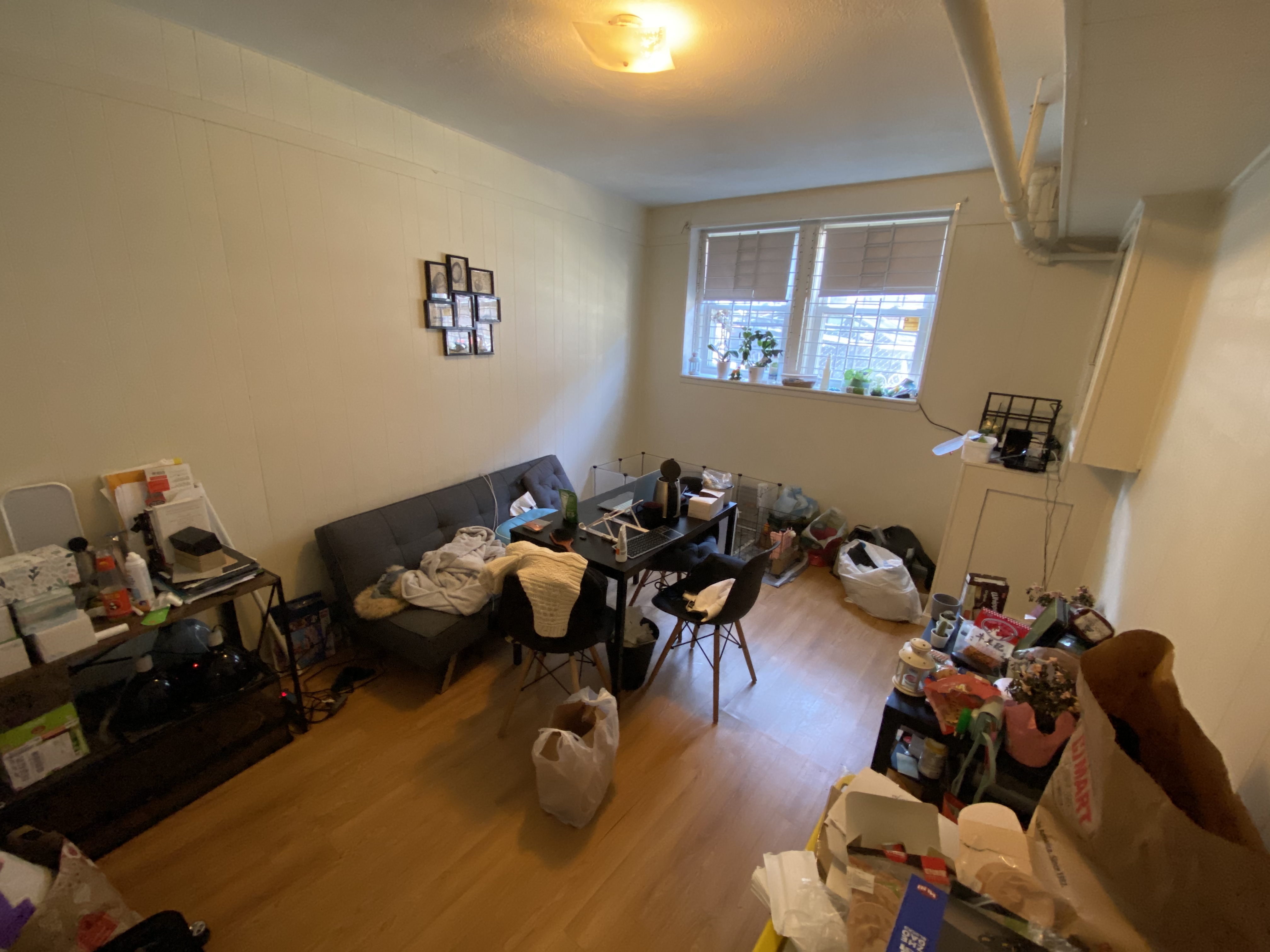 119 Sutherland Rd, Brighton