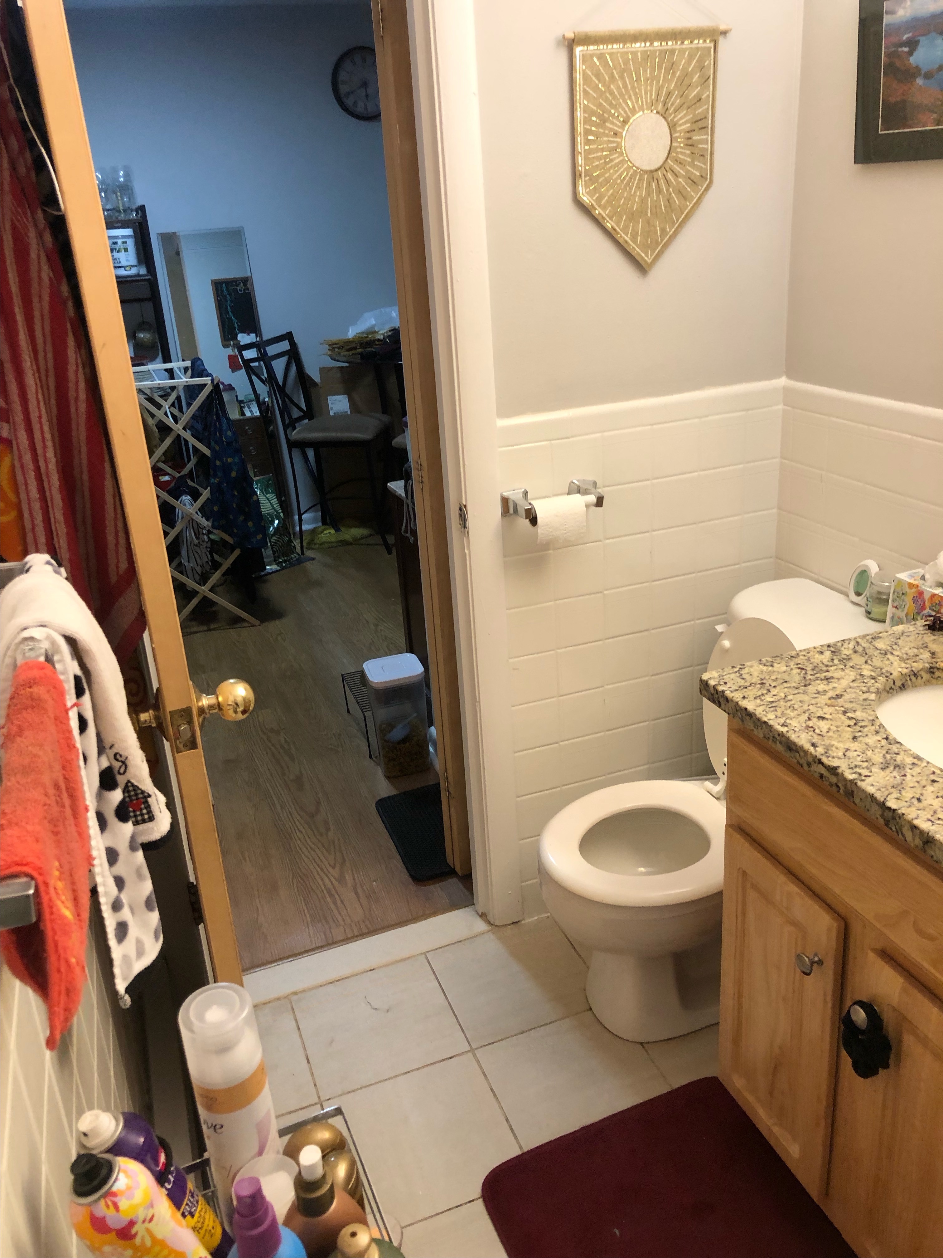 222 Babcock St, Coolidge Corner