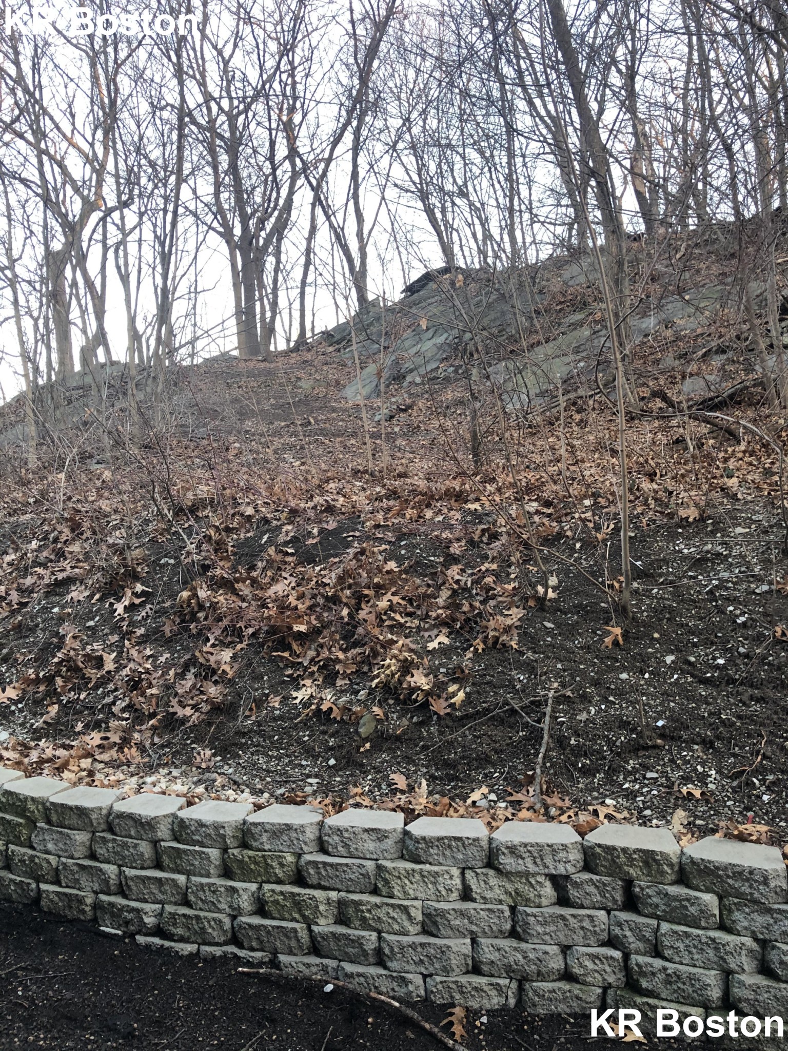 24 Ridgemont, Allston