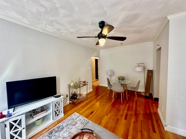 136 Prince St, North End