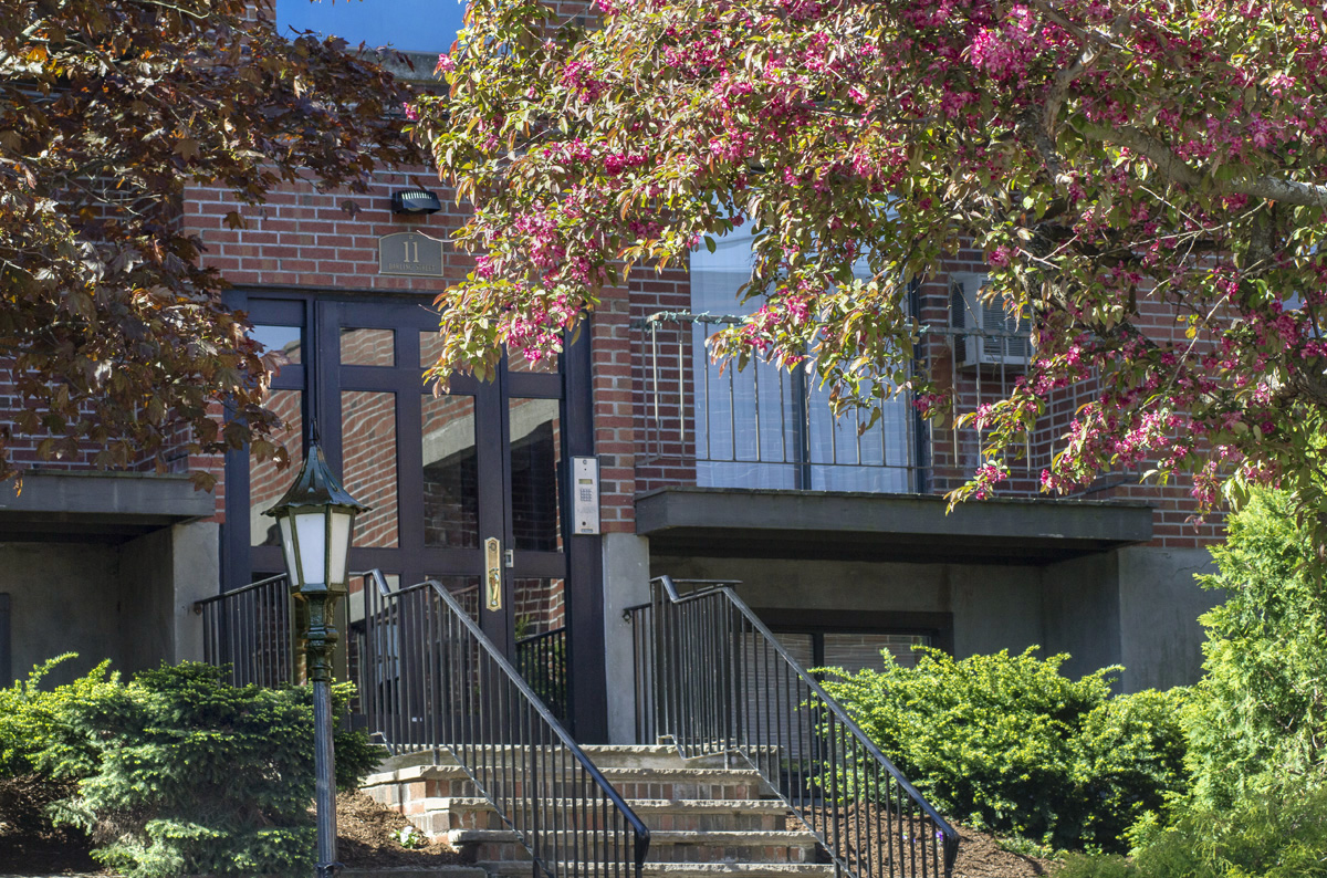 5 Darling St, Mission Hill