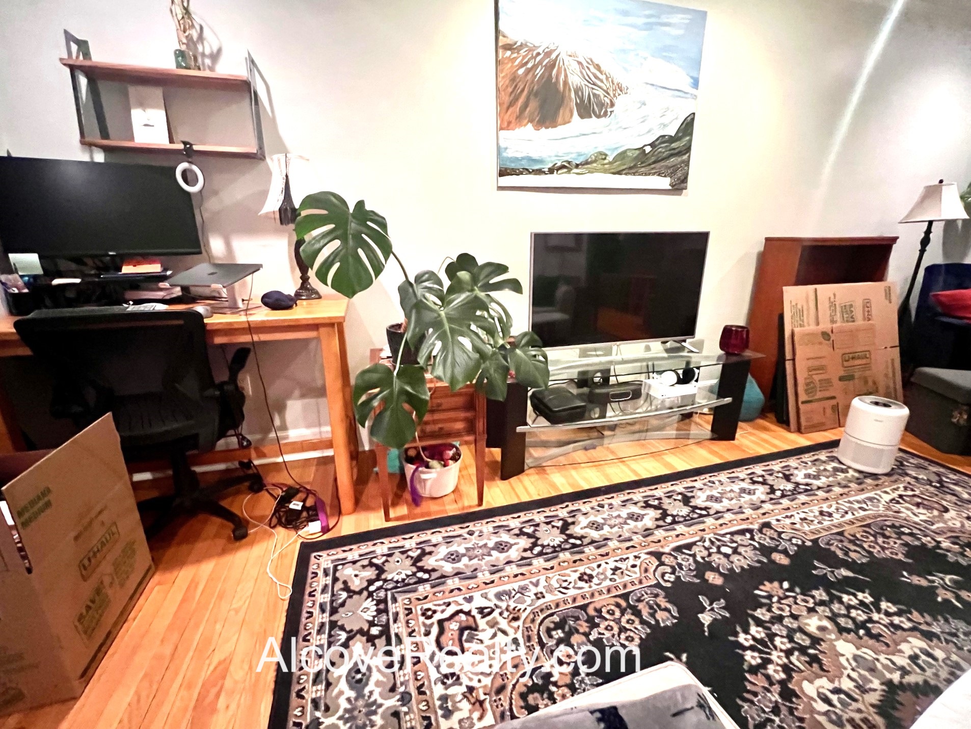 54 Concord Ave, Observatory Hill