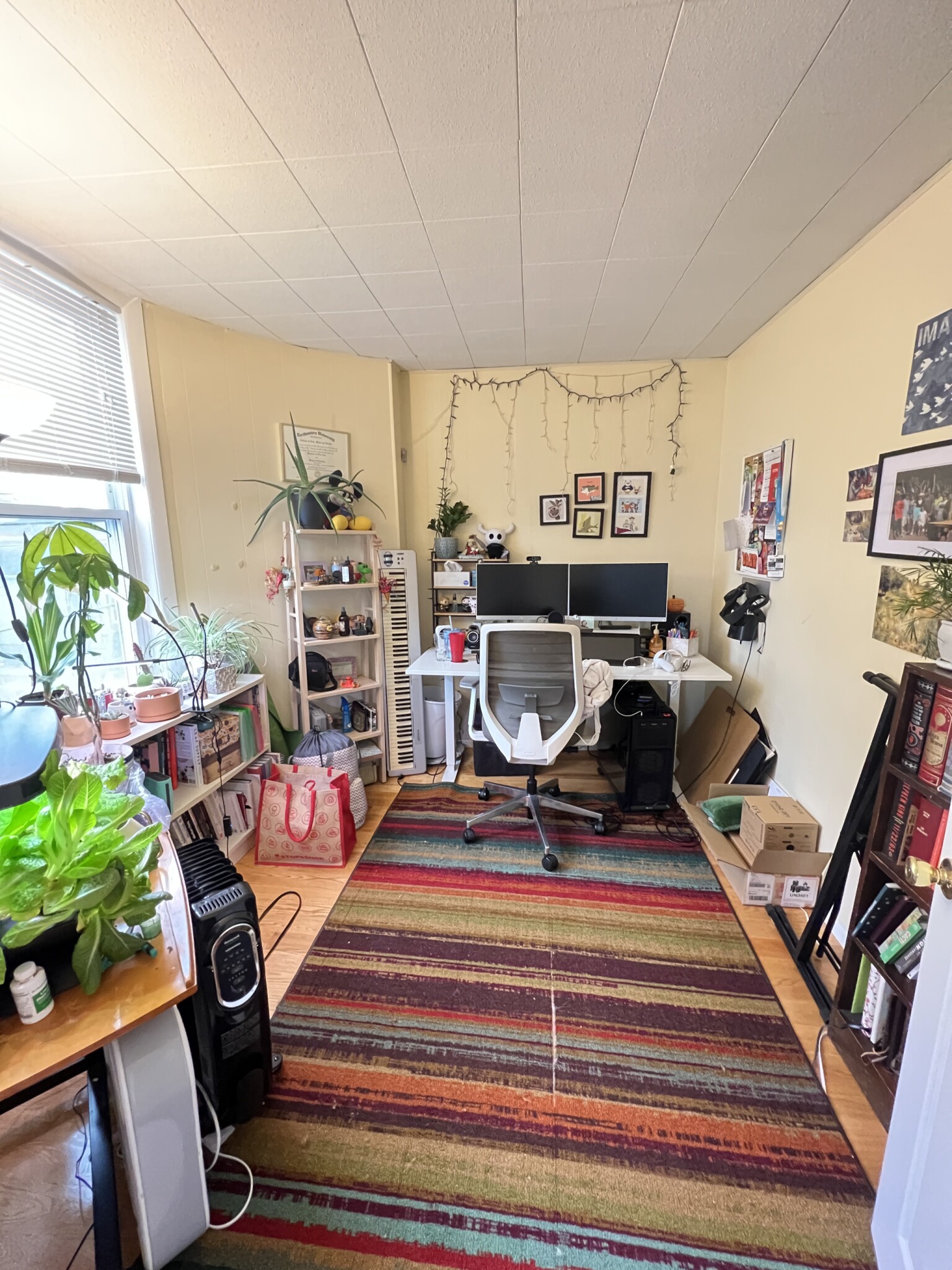 27 29 Cameron Ave, Teele Square