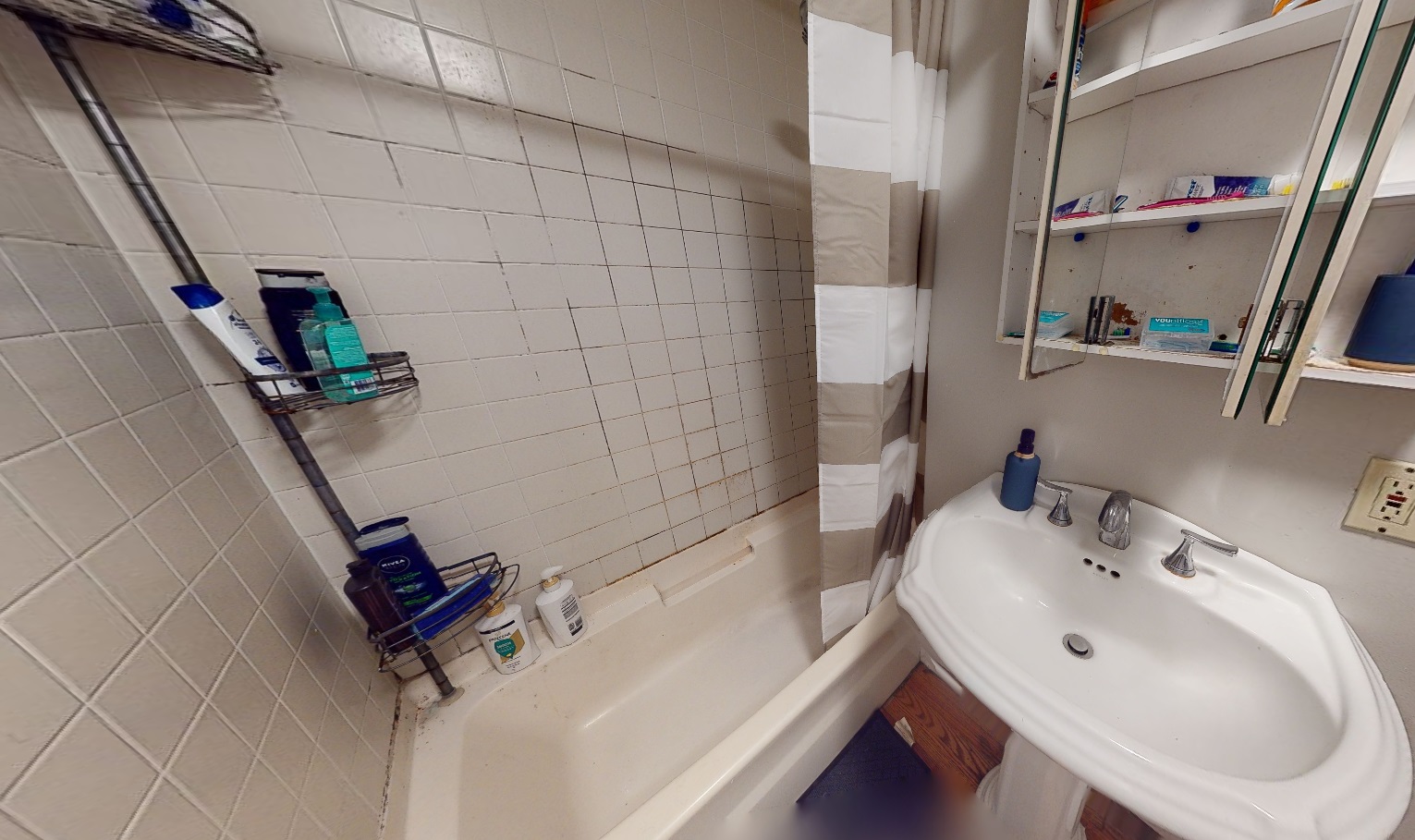 344 Putnam, Cambridgeport