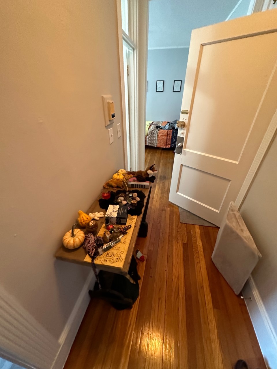 71 Chester St, Allston