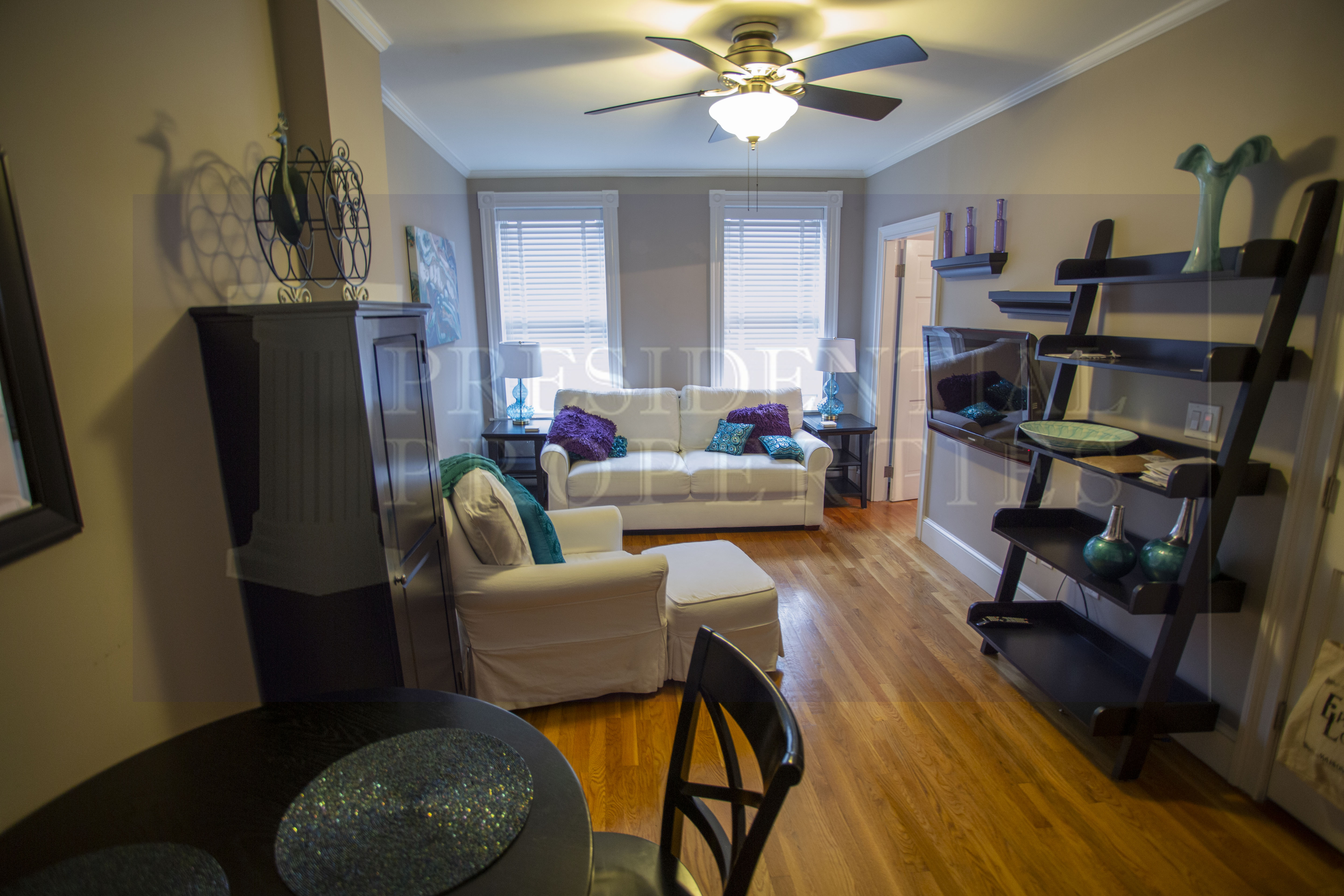 27 Temple St, Beacon Hill