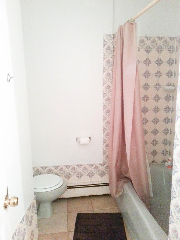 526 Harvard St, North Brookline