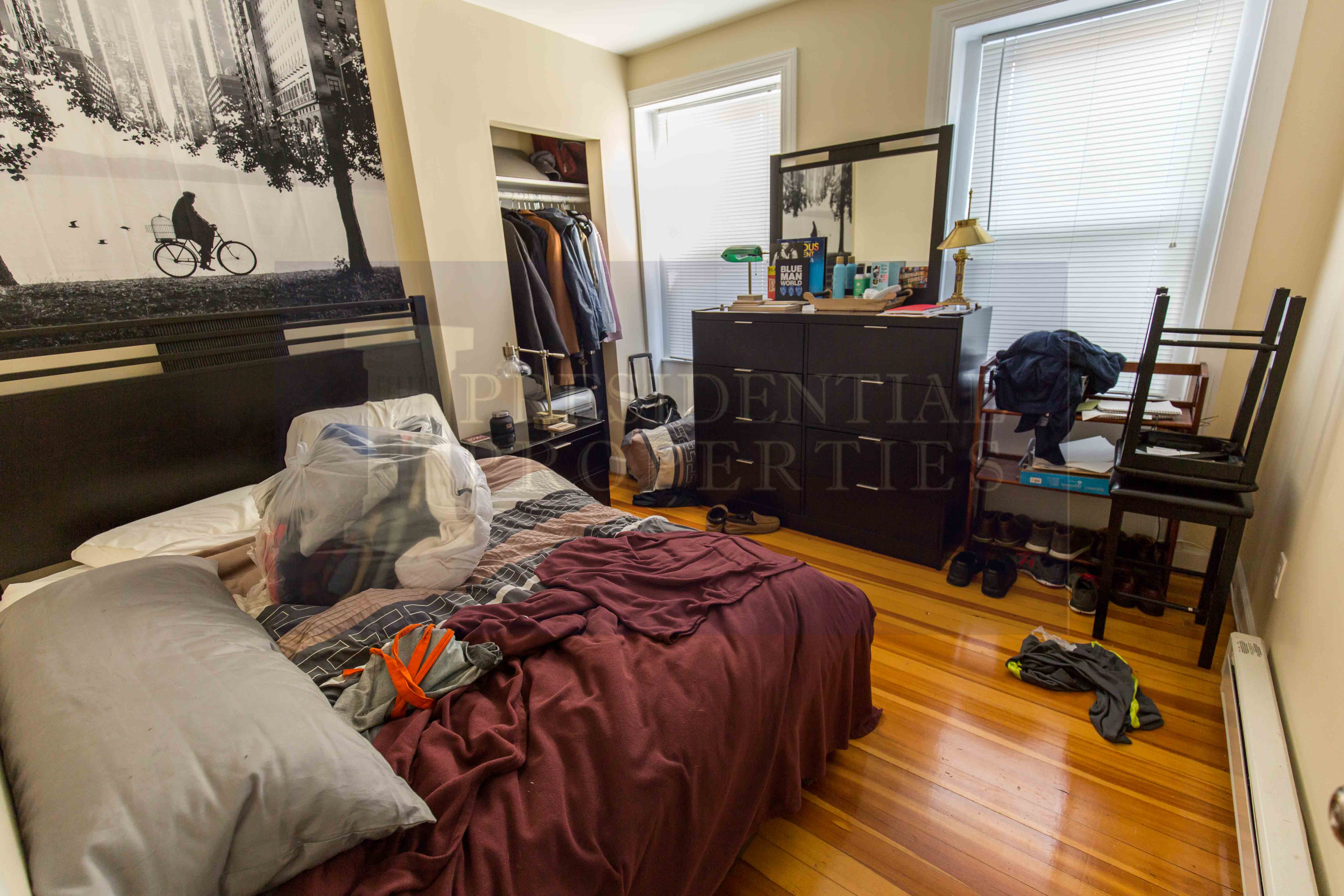 37 Cooper St, Beacon Hill