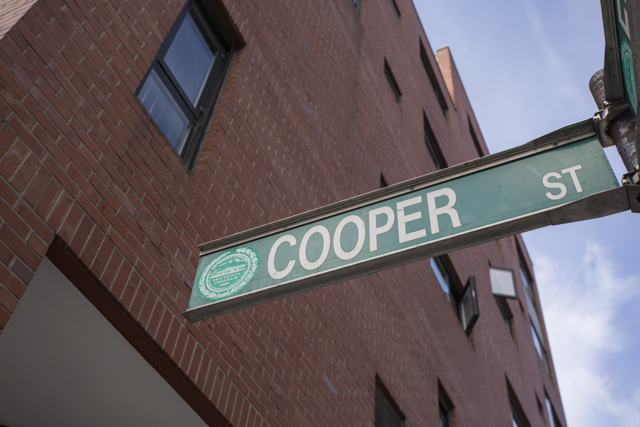 37 Cooper St, Beacon Hill