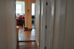 19 Saint Lukes Rd, Allston