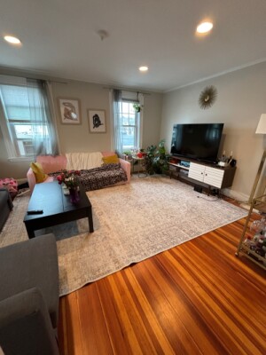 18 Sheafe St, Chestnut Hill