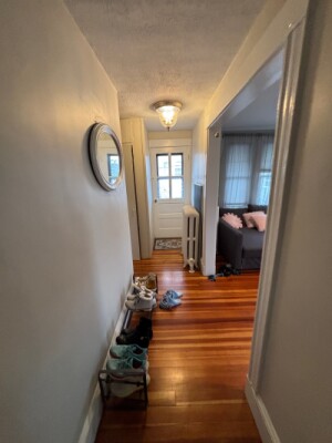 18 Sheafe St, Chestnut Hill