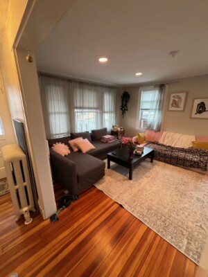 18 Sheafe St, Chestnut Hill