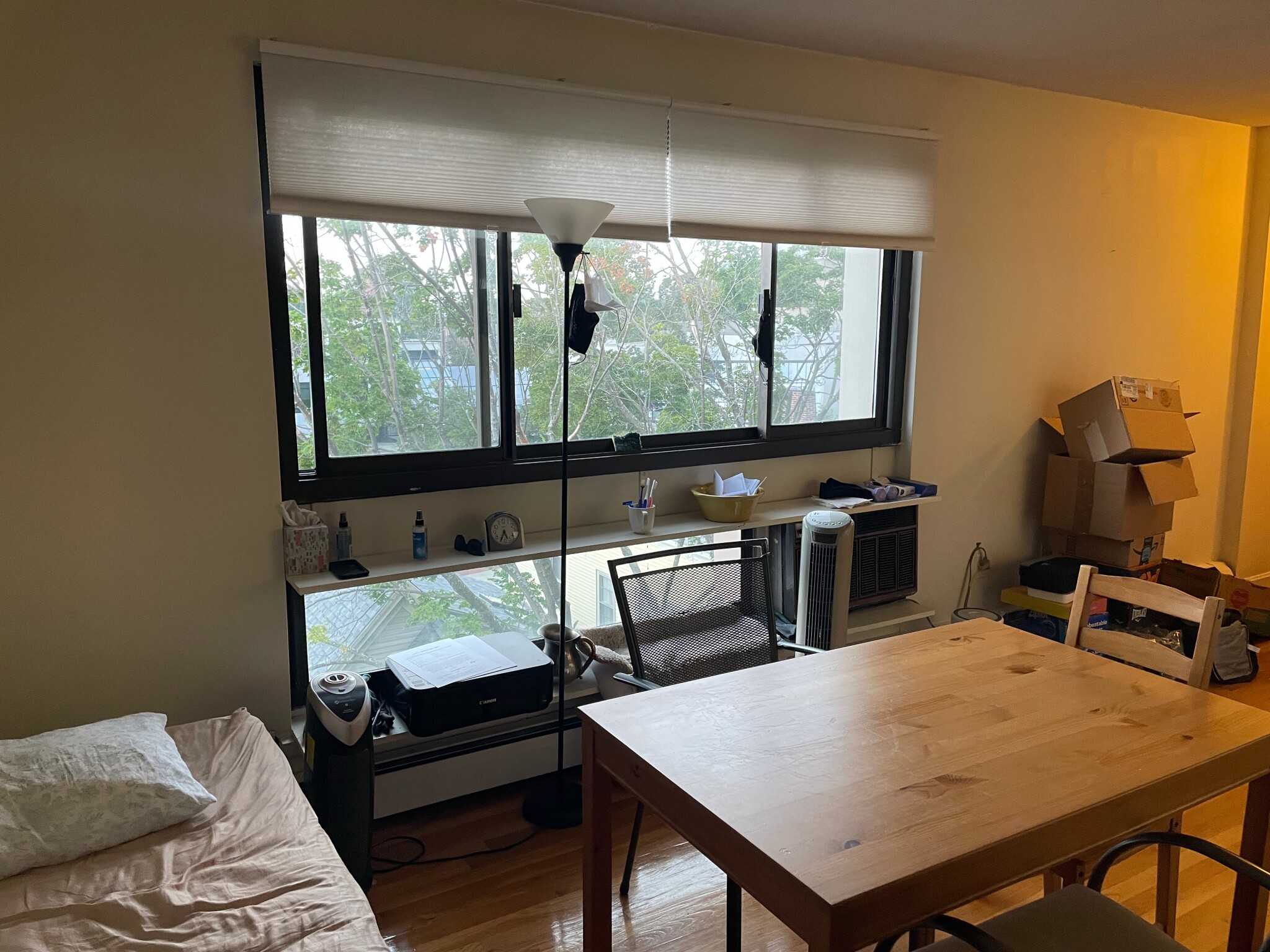 77 Trowbridge St, Mid-Cambridge