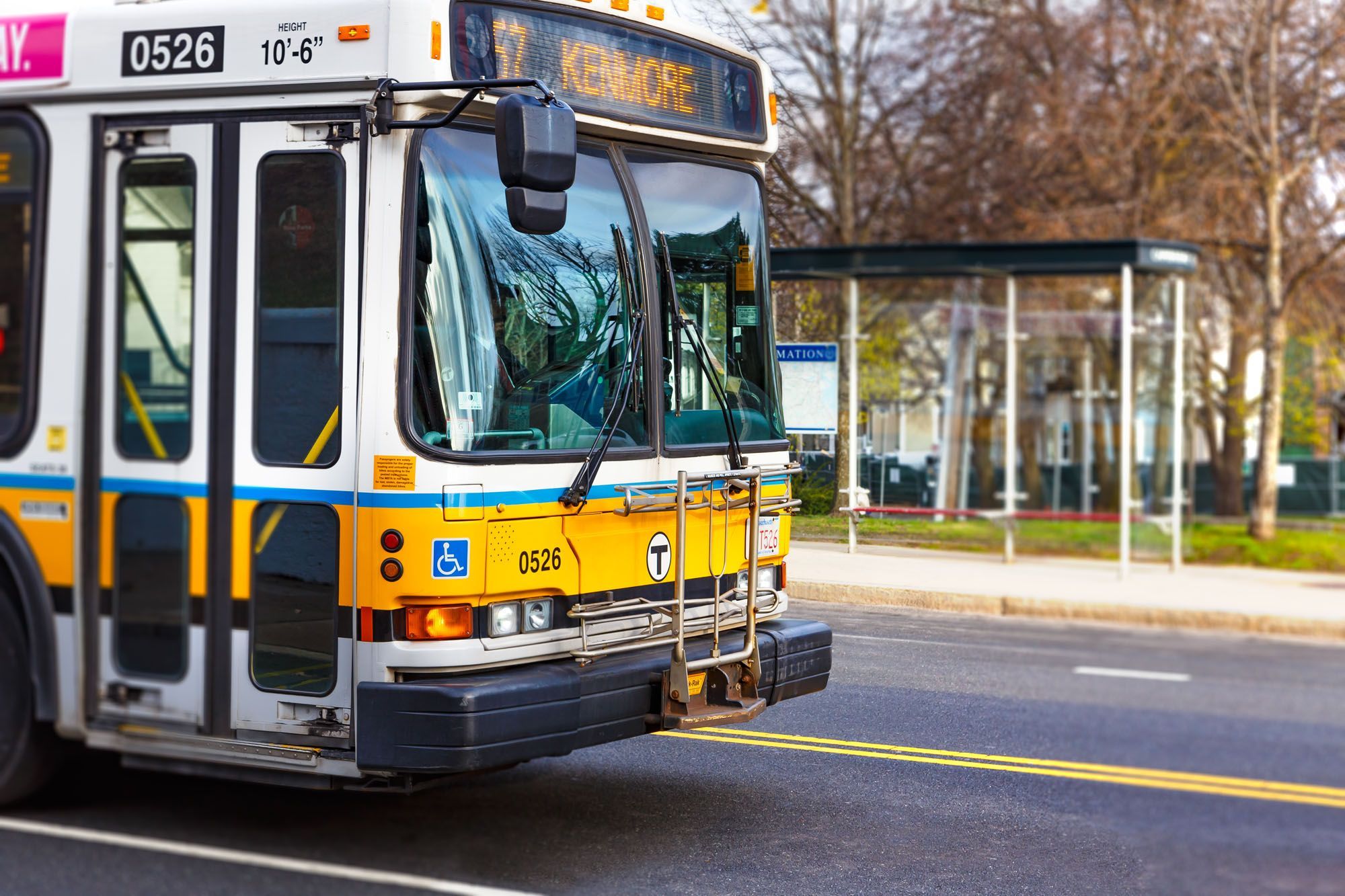 8 Eulita Ter, Brighton