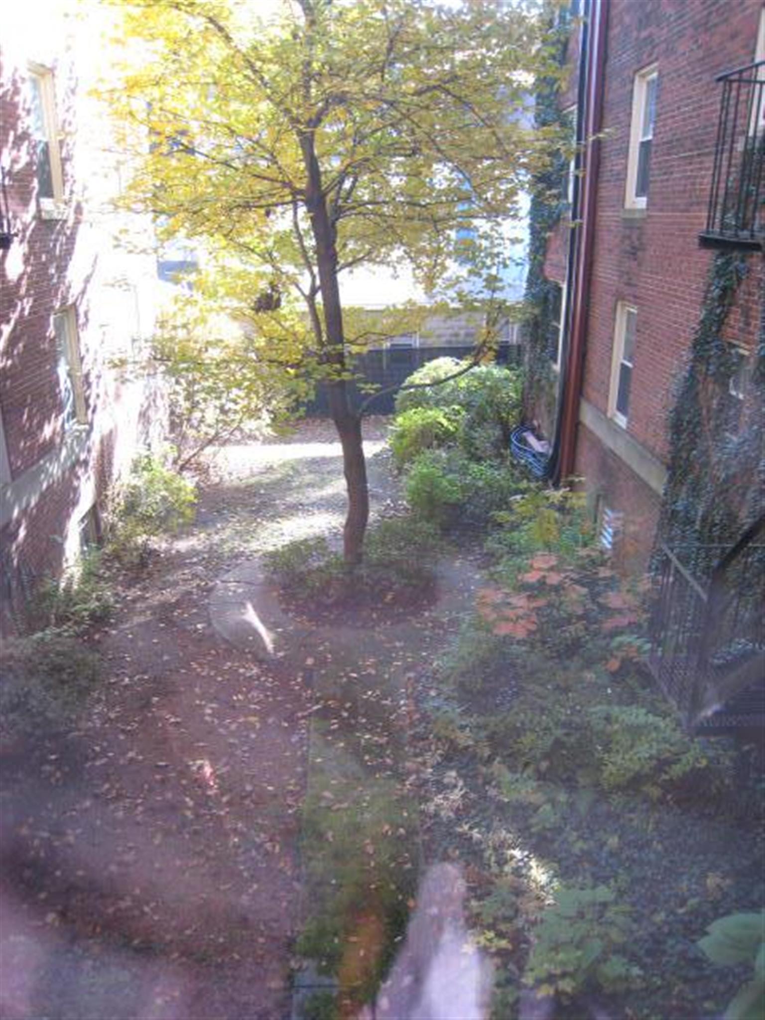 119 College Ave, Davis Square