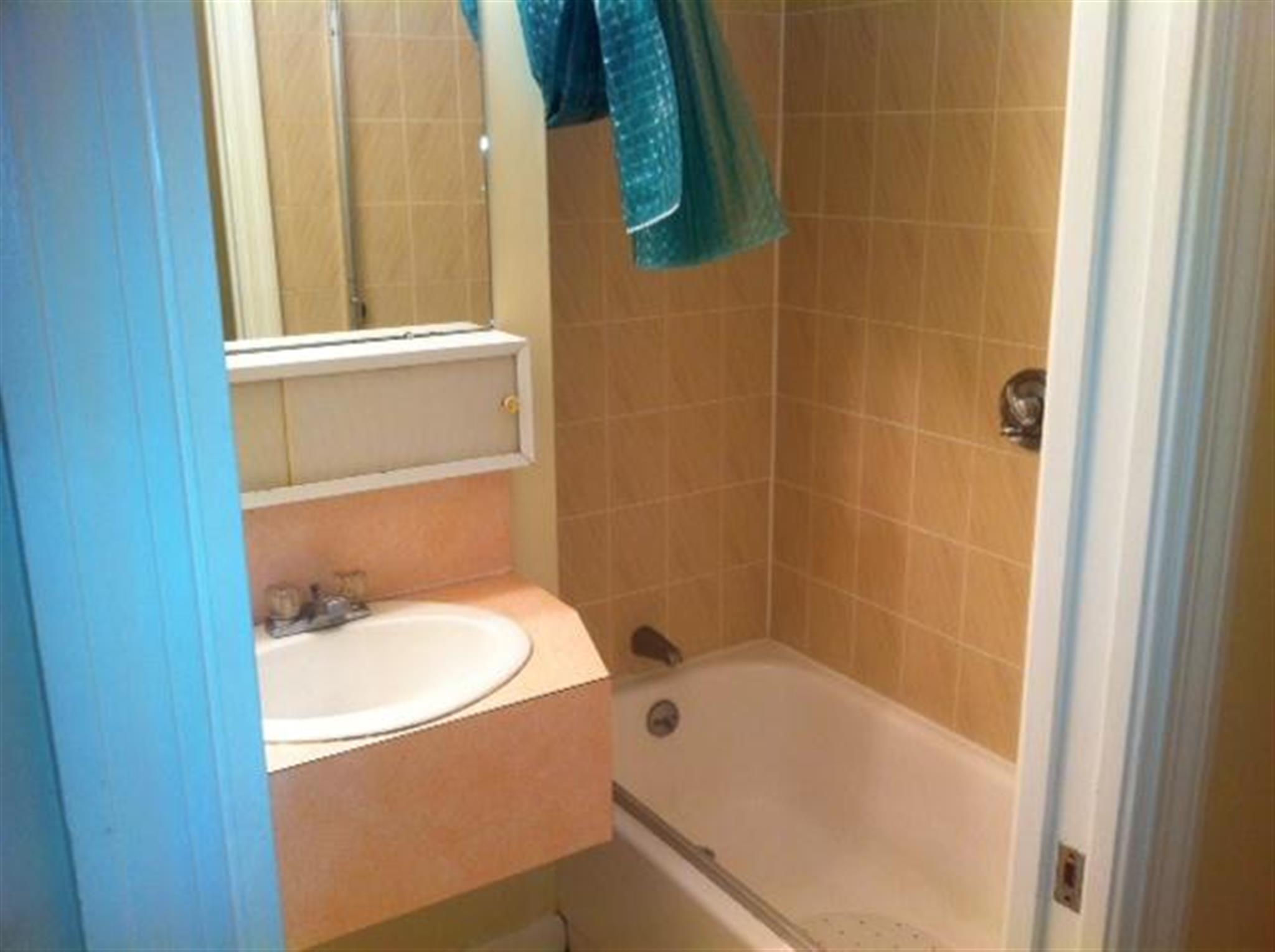 12 Mount Auburn St, Harvard Square