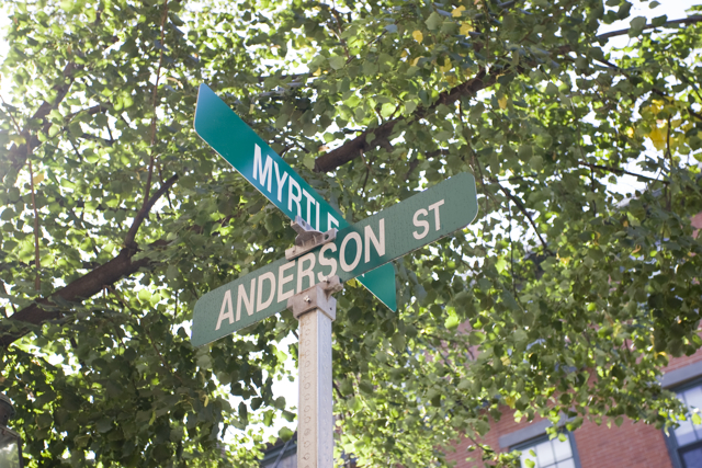 97 Myrtle St, Beacon Hill