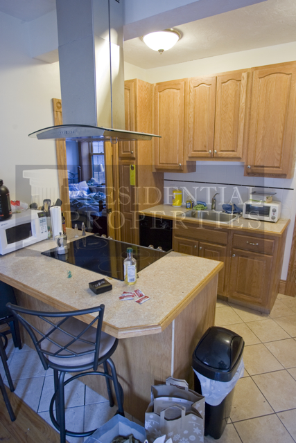 97 Myrtle St, Beacon Hill