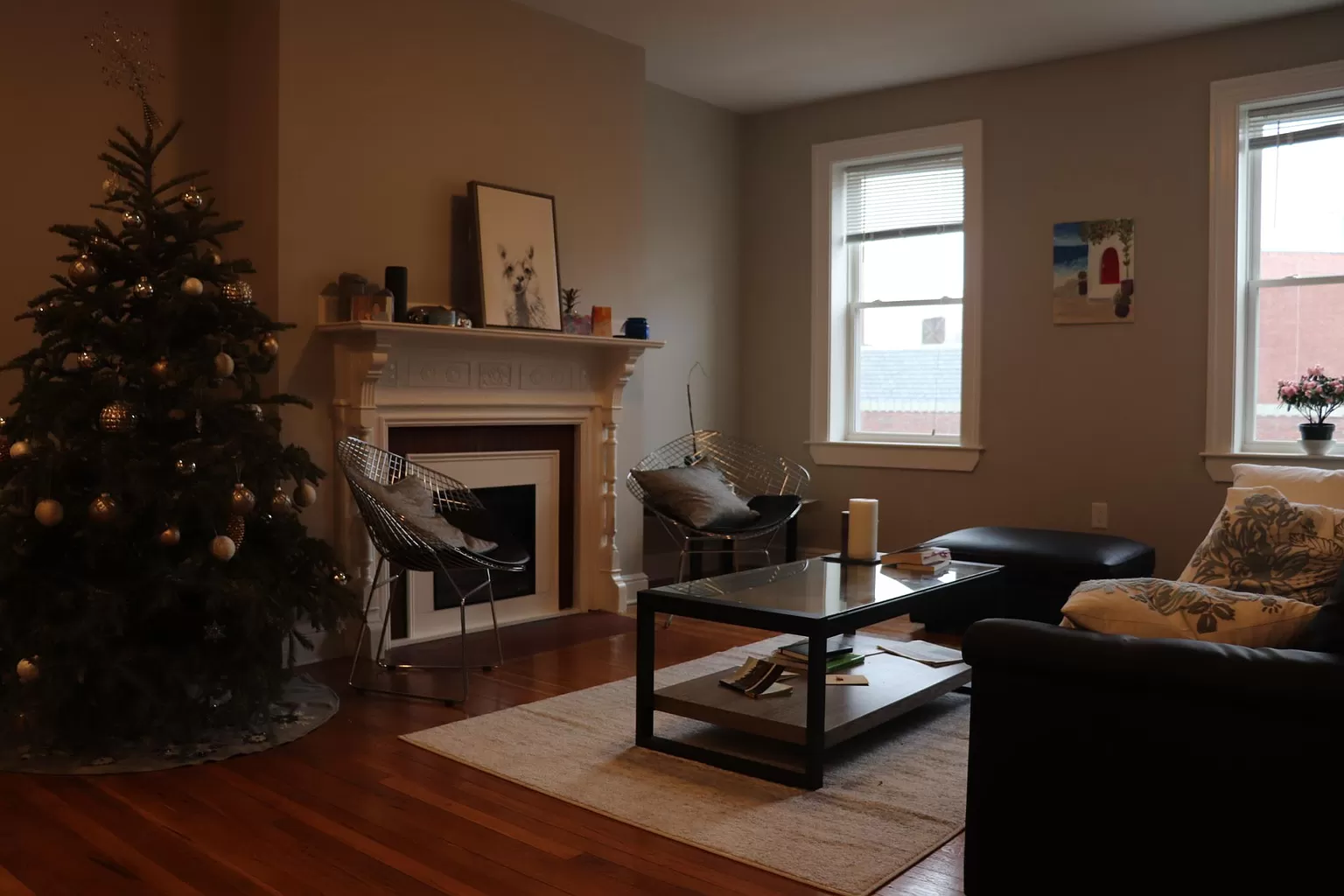 20 Jfk St, Harvard Square