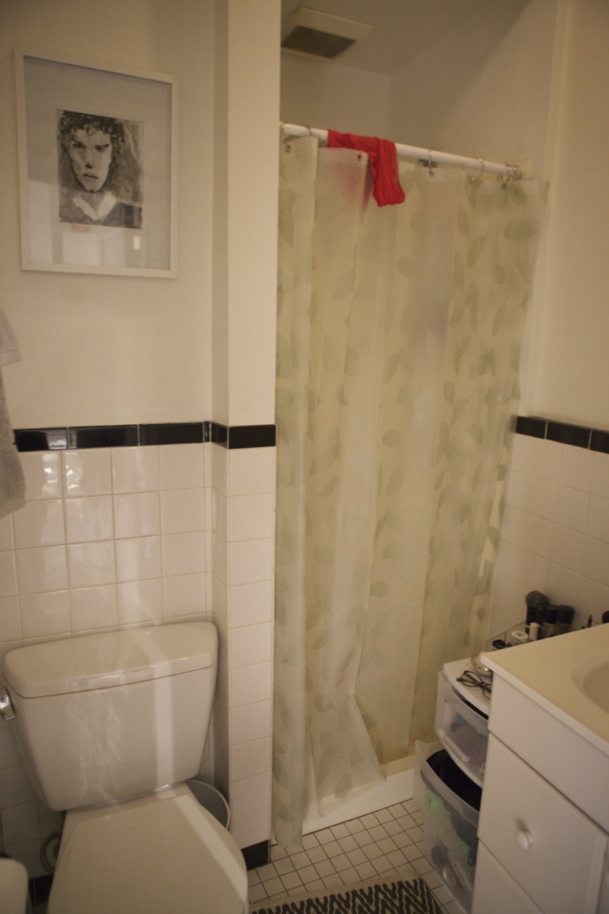 8 Grove St, Beacon Hill