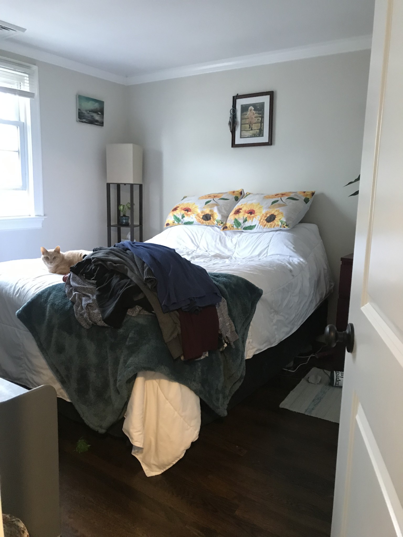 8 Hardwick Ter, Brighton