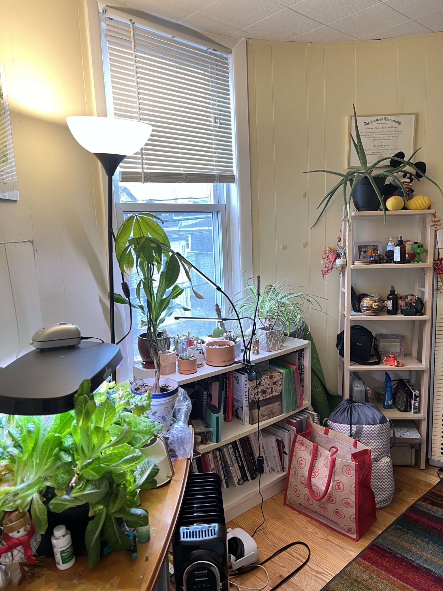 29 Cameron Ave, Teele Square