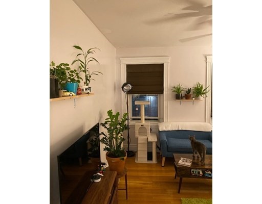 31 Queensberry St, Fenway