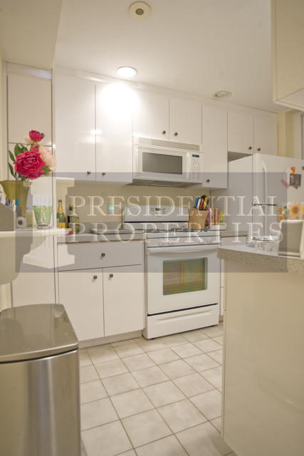 108 Myrtle St, Beacon Hill