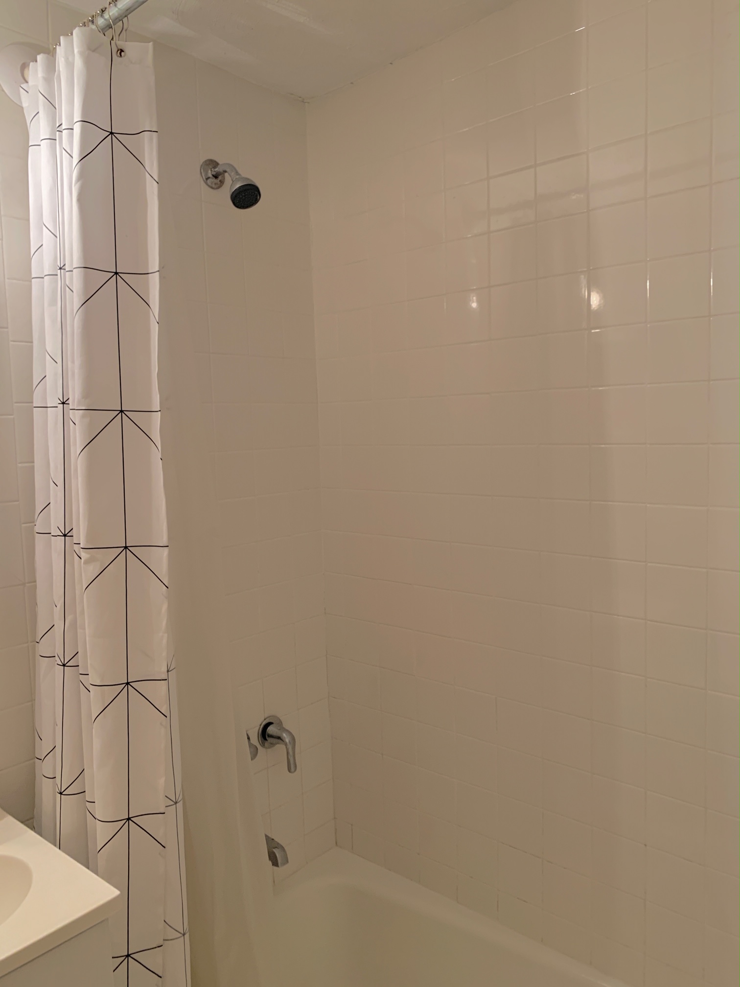 108 Myrtle St, Beacon Hill