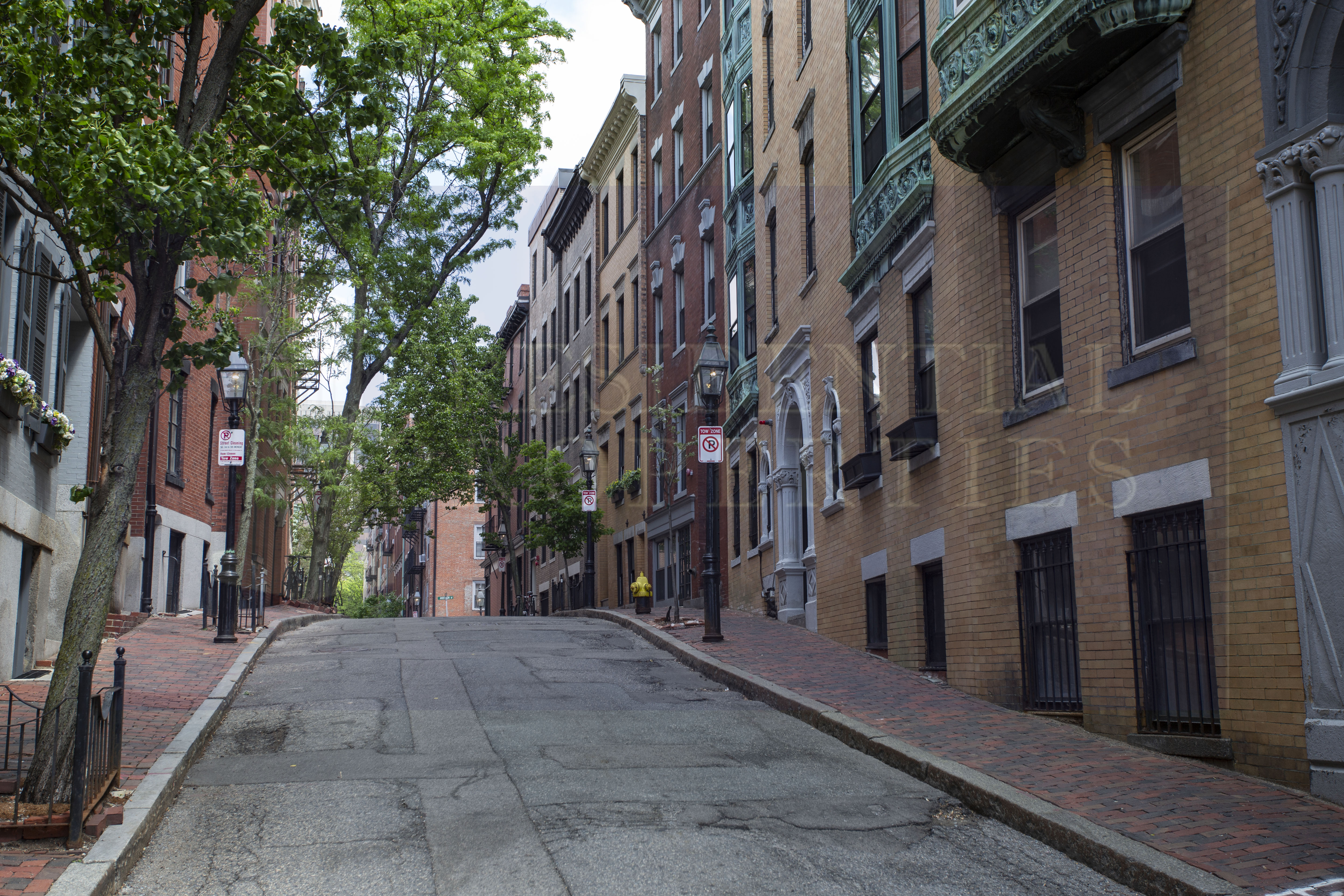 108 Myrtle St, Beacon Hill