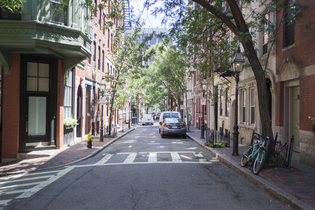 108 Myrtle St, Beacon Hill