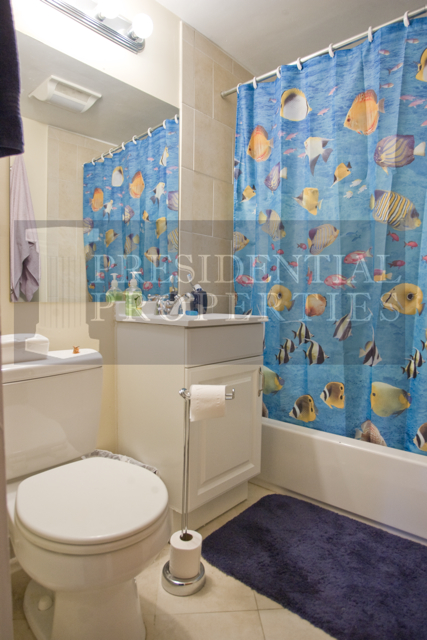 108 Myrtle St, Beacon Hill