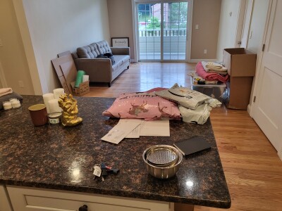 628 Trapelo Rd, Belmont