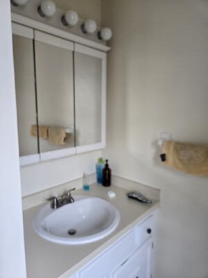 21 Rustic St, Nonantum