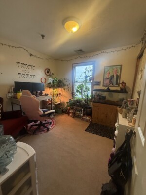 195 Newton St, Waltham