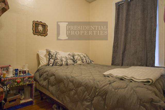 28.5 Myrtle St, Beacon Hill