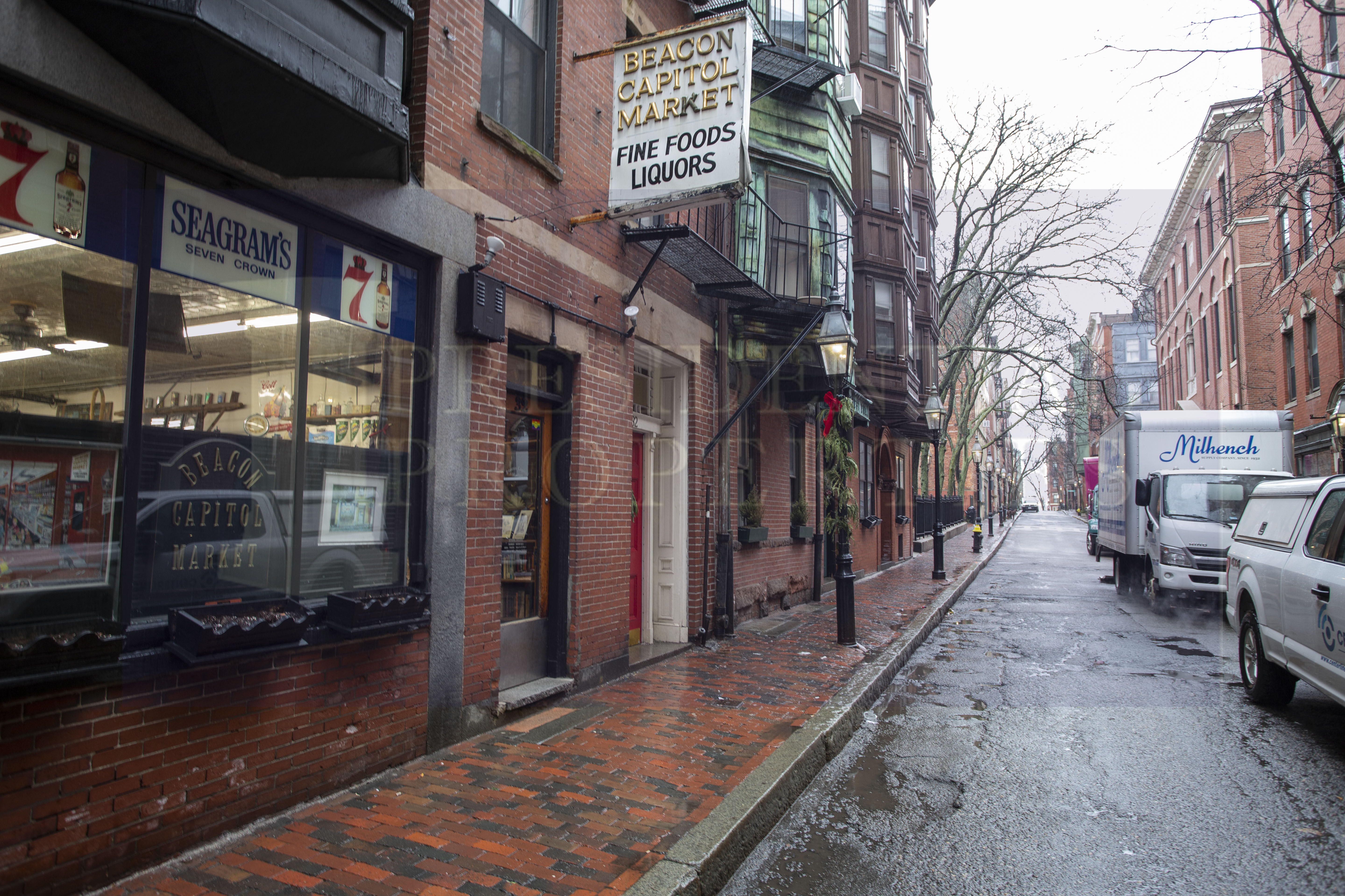 28.5 Myrtle St, Beacon Hill