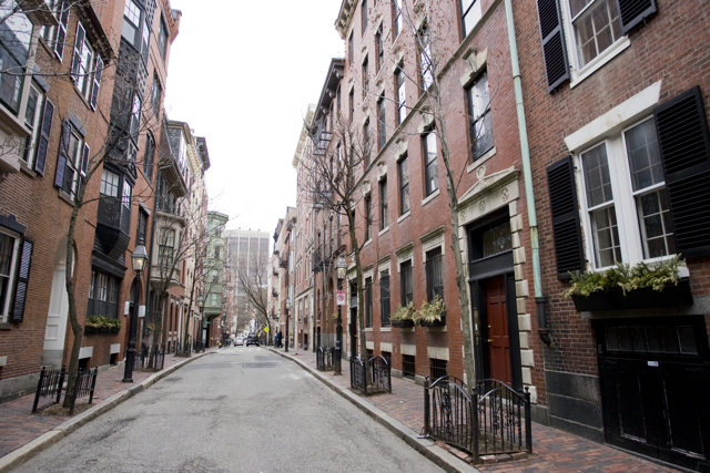 28.5 Myrtle St, Beacon Hill