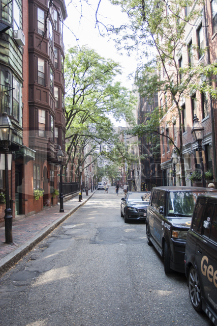 28.5 Myrtle St, Beacon Hill