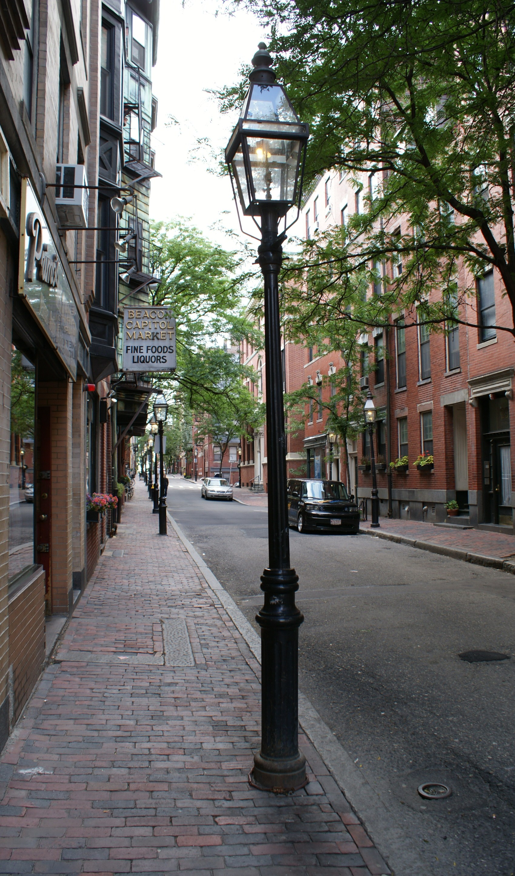 28.5 Myrtle St, Beacon Hill